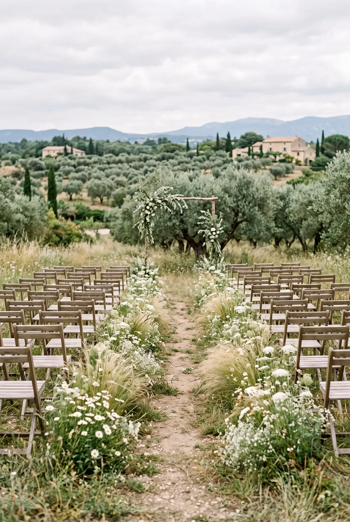 Allée de cérémonie dans une prairie, chaises en bois, graminées et fleurs blanches, oliviers en arrière-plan